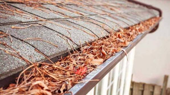 Gutter Cleaning 1